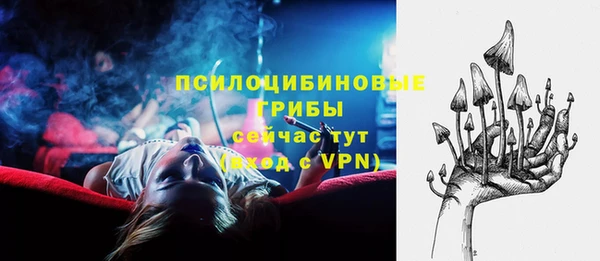 соль ск Дмитров