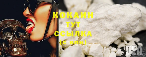 дживик Киреевск