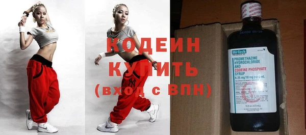 ПСИЛОЦИБИНОВЫЕ ГРИБЫ Дмитриев
