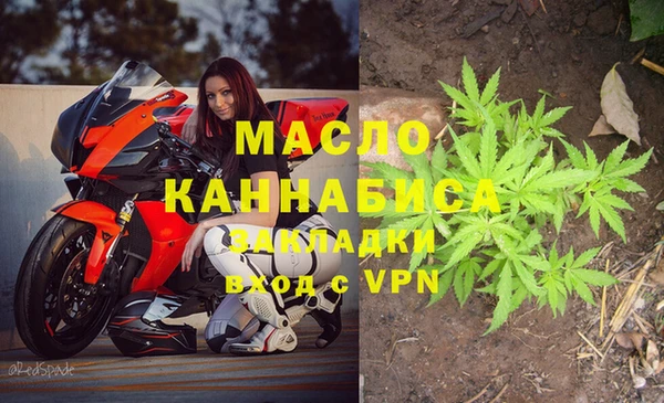 ПСИЛОЦИБИНОВЫЕ ГРИБЫ Дмитриев