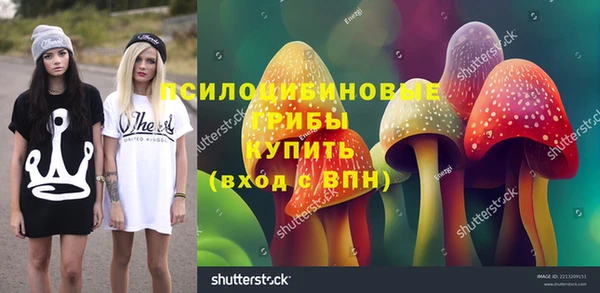 кристаллы Гусь-Хрустальный
