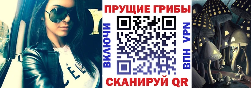 купить закладку Калининск Псилоцибиновые грибы ЛСД